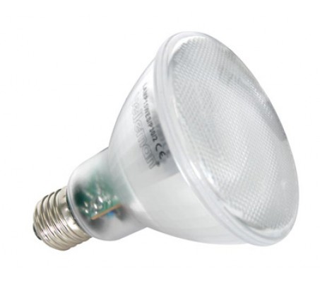 LAMP23WES/P38 lemputė PAR38, E27, 23W/240V