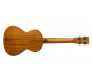 20TM tenoro ukulelė