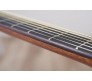 A1RIITBS elektro-akustinė gitara Yamaha