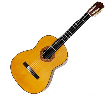 C70 gitara klasikinė