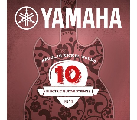 EN10 stygos elektrinei gitarai