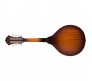 FENDER PM-180E mandolina 097-0382-337