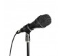 GH1 mikrofonas