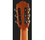 GK PRO NEGRA klasikinė gitara Cordoba su dėklu