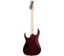 GRGR221PA AQB elektrinė gitara