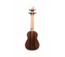 M222C koncertinė ukulelė