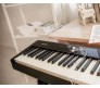 NPK-10  skaitmeninis pianinas