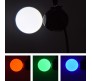 PAR10-RGBW šv.efektas su pulteliu 10W LED RGBW