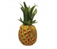 PP3202 marakasas ananasas