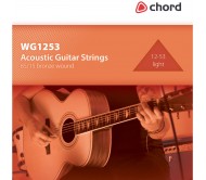 WG1253 stygos akustinei gitarai 12-53
